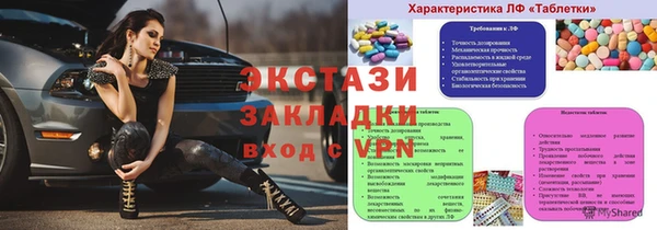хмурый Аркадак