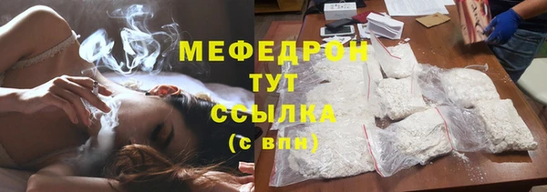 хмурый Аркадак