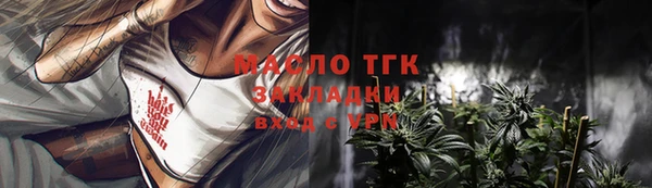 хмурый Аркадак