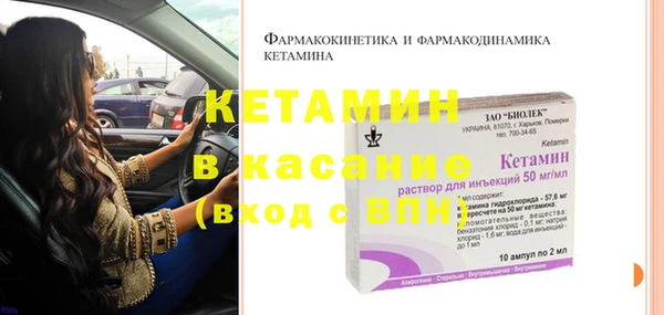 хмурый Аркадак