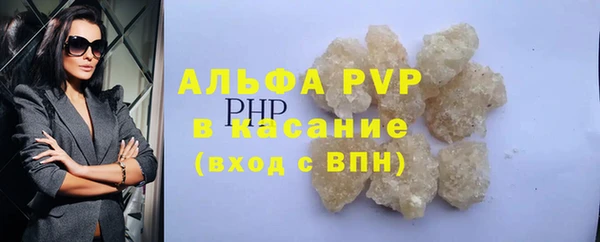 хмурый Аркадак