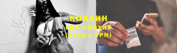хмурый Аркадак