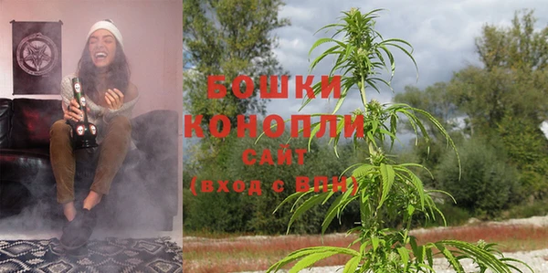 ГАЛЛЮЦИНОГЕННЫЕ ГРИБЫ Арсеньев