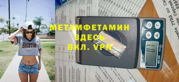 хмурый Аркадак