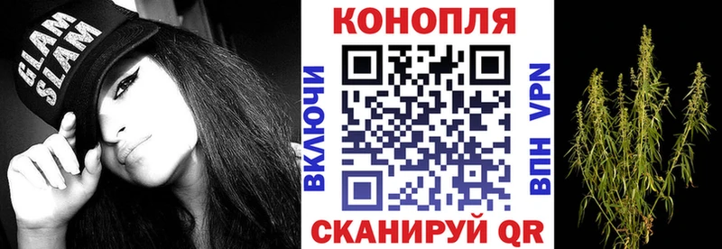 дарнет шоп  Сурск  Шишки марихуана гибрид 